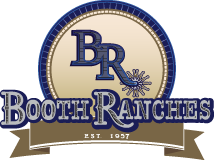 Booth Ranches Quarter Horses