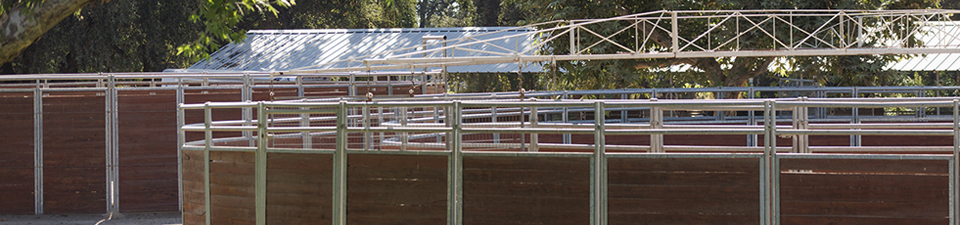 round-pen.jpg