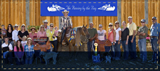 Show Horses